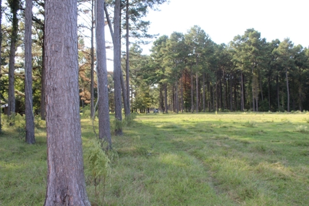 Riverfront Property with Pasture Land Simpson County MS - image 16