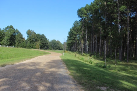 Riverfront Property with Pasture Land Simpson County MS - image 2