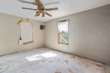 Country Home for Sale Thornfield, Ozark County, Missouri - image 5