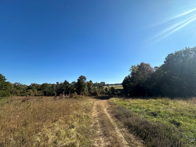 87+/- Acres For Sale North of Velvet Ridge, AR off Hwy 167 N - image 19
