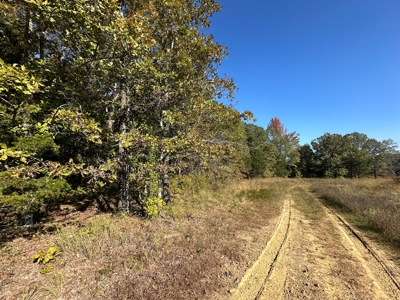 87+/- Acres For Sale North of Velvet Ridge, AR off Hwy 167 N - image 21