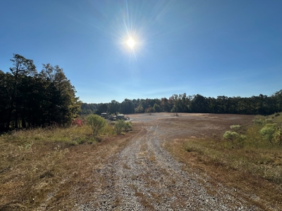 87+/- Acres For Sale North of Velvet Ridge, AR off Hwy 167 N - image 24