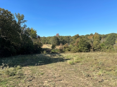 87+/- Acres For Sale North of Velvet Ridge, AR off Hwy 167 N - image 6