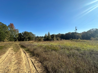 87+/- Acres For Sale North of Velvet Ridge, AR off Hwy 167 N - image 22