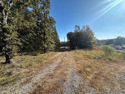 87+/- Acres For Sale North of Velvet Ridge, AR off Hwy 167 N - image 23