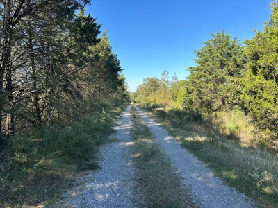 87+/- Acres For Sale North of Velvet Ridge, AR off Hwy 167 N - image 4