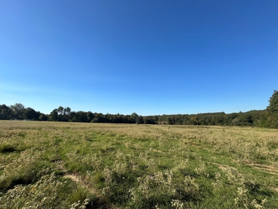 87+/- Acres For Sale North of Velvet Ridge, AR off Hwy 167 N - image 14