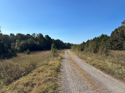 87+/- Acres For Sale North of Velvet Ridge, AR off Hwy 167 N - image 26