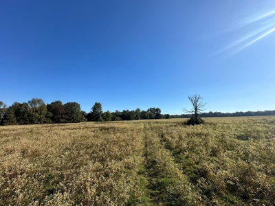 87+/- Acres For Sale North of Velvet Ridge, AR off Hwy 167 N - image 17