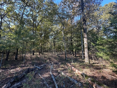 87+/- Acres For Sale North of Velvet Ridge, AR off Hwy 167 N - image 9
