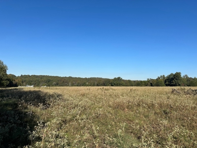 87+/- Acres For Sale North of Velvet Ridge, AR off Hwy 167 N - image 11