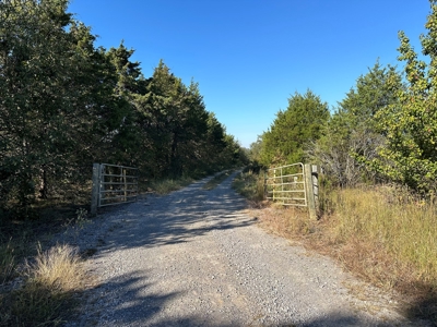 87+/- Acres For Sale North of Velvet Ridge, AR off Hwy 167 N - image 27