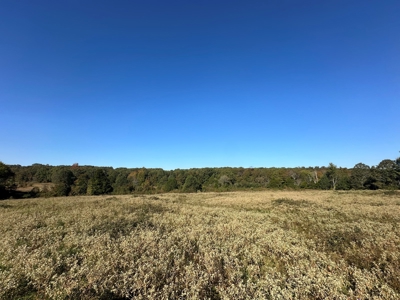 87+/- Acres For Sale North of Velvet Ridge, AR off Hwy 167 N - image 18