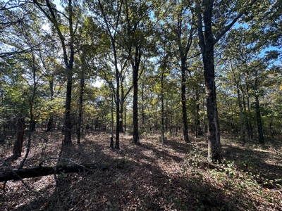 87+/- Acres For Sale North of Velvet Ridge, AR off Hwy 167 N - image 8