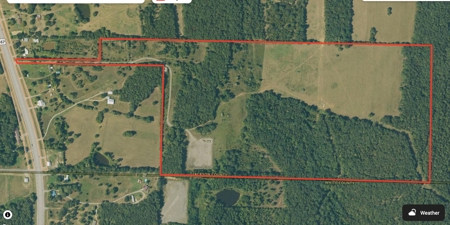 87+/- Acres For Sale North of Velvet Ridge, AR off Hwy 167 N - image 3