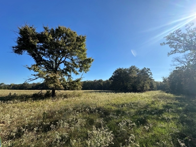 87+/- Acres For Sale North of Velvet Ridge, AR off Hwy 167 N - image 10