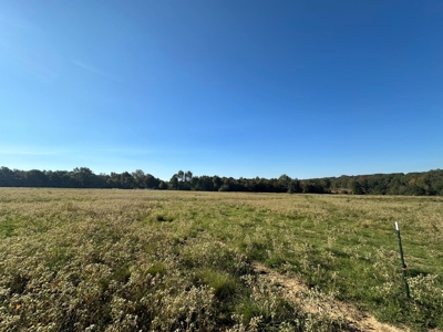 87+/- Acres For Sale North of Velvet Ridge, AR off Hwy 167 N - image 15