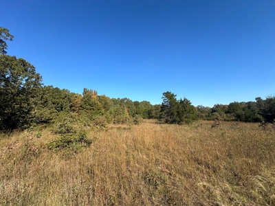 87+/- Acres For Sale North of Velvet Ridge, AR off Hwy 167 N - image 20