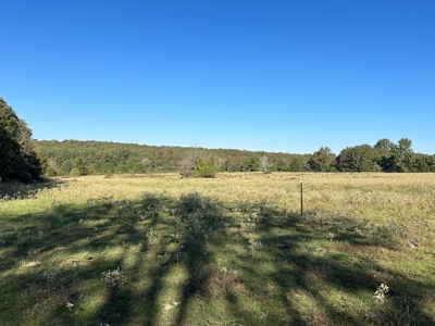 87+/- Acres For Sale North of Velvet Ridge, AR off Hwy 167 N - image 13