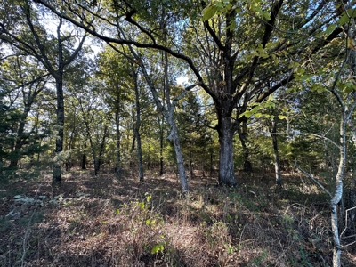 87+/- Acres For Sale North of Velvet Ridge, AR off Hwy 167 N - image 7