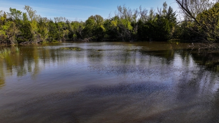 Ranch in North Texas Hill Country, Land in Montague County - image 43