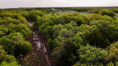 Ranch in North Texas Hill Country, Land in Montague County - image 11
