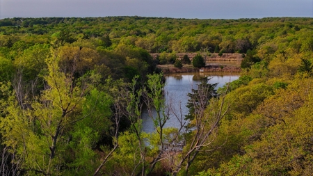 Ranch in North Texas Hill Country, Land in Montague County - image 25