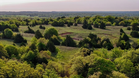 Ranch in North Texas Hill Country, Land in Montague County - image 24