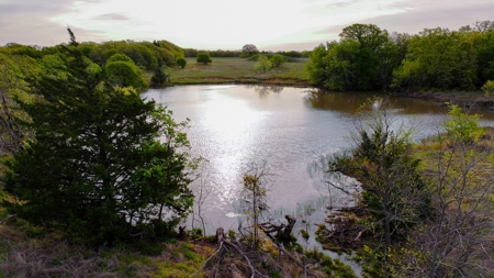 Ranch in North Texas Hill Country, Land in Montague County - image 9