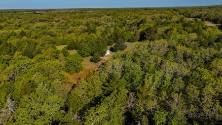 Ranch in North Texas Hill Country, Land in Montague County - image 41