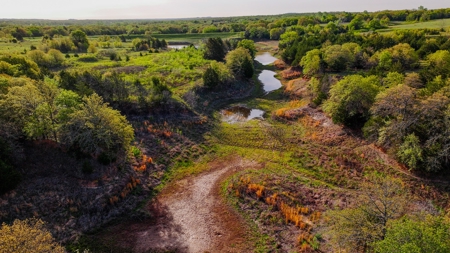 Ranch in North Texas Hill Country, Land in Montague County - image 31