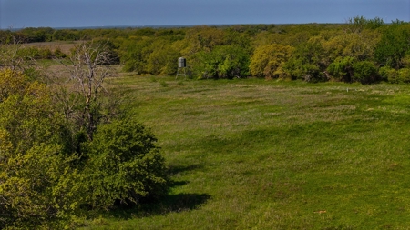 Ranch in North Texas Hill Country, Land in Montague County - image 5
