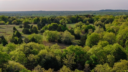 Ranch in North Texas Hill Country, Land in Montague County - image 23