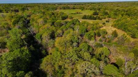 Ranch in North Texas Hill Country, Land in Montague County - image 39