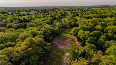 Ranch in North Texas Hill Country, Land in Montague County - image 21