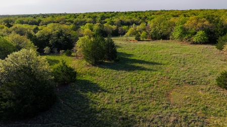 Ranch in North Texas Hill Country, Land in Montague County - image 30