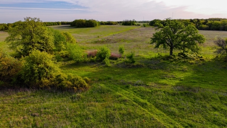Ranch in North Texas Hill Country, Land in Montague County - image 20
