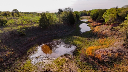 Ranch in North Texas Hill Country, Land in Montague County - image 32