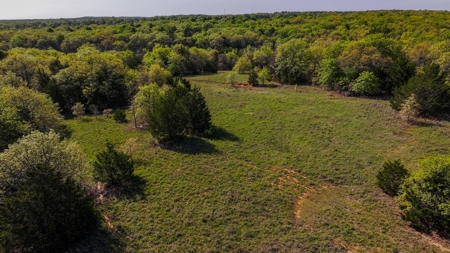 Ranch in North Texas Hill Country, Land in Montague County - image 48