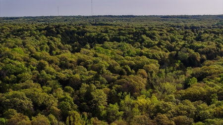 Ranch in North Texas Hill Country, Land in Montague County - image 38
