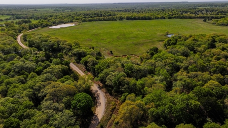 Ranch in North Texas Hill Country, Land in Montague County - image 1