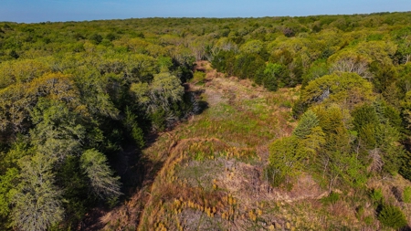 Ranch in North Texas Hill Country, Land in Montague County - image 42