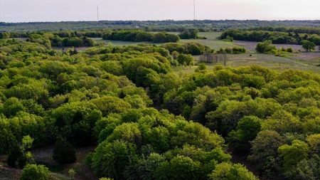 Ranch in North Texas Hill Country, Land in Montague County - image 15