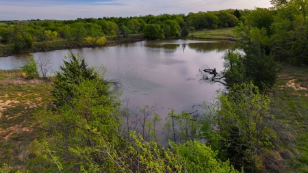 Ranch in North Texas Hill Country, Land in Montague County - image 10