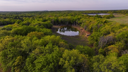 Ranch in North Texas Hill Country, Land in Montague County - image 18