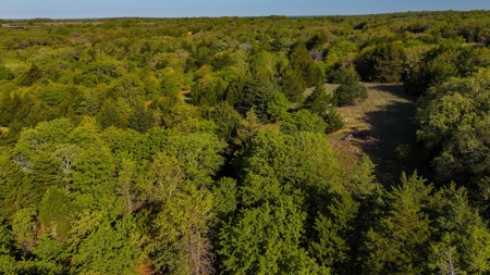 Ranch in North Texas Hill Country, Land in Montague County - image 40