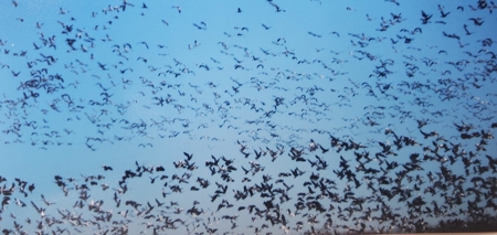 Hunting and Fishing Lakeside Retreat!!! - image 32