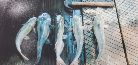 Hunting and Fishing Lakeside Retreat!!! - image 33