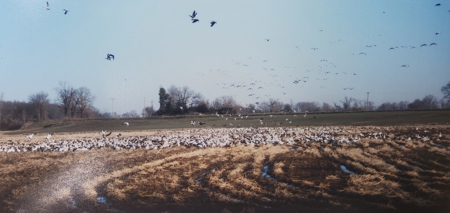 Hunting and Fishing Lakeside Retreat!!! - image 31