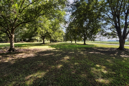 Hunting and Fishing Lakeside Retreat!!! - image 16